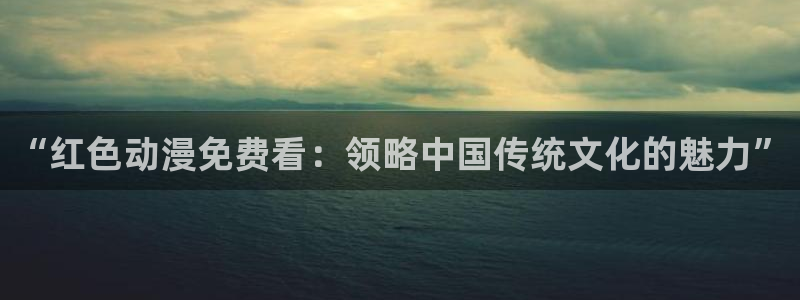 91动漫破解版nba下载
