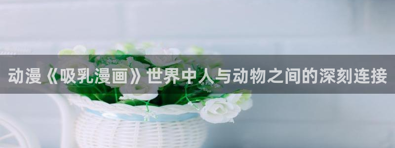 免费观看91动漫