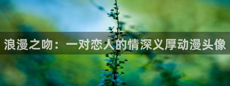 91动漫免费网站