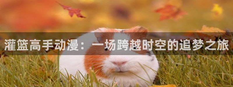 91动漫免费在线观看网站