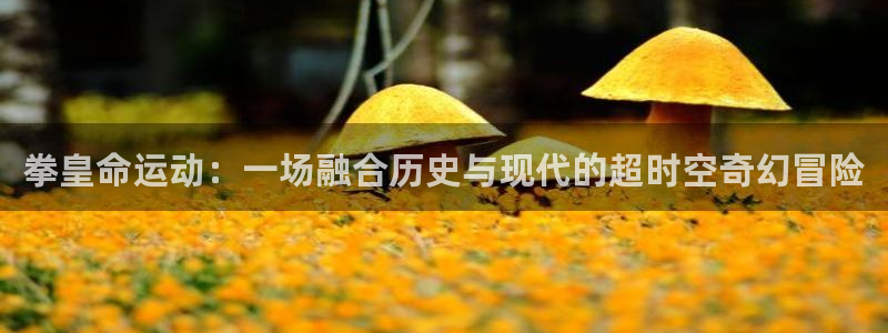 91动漫大全