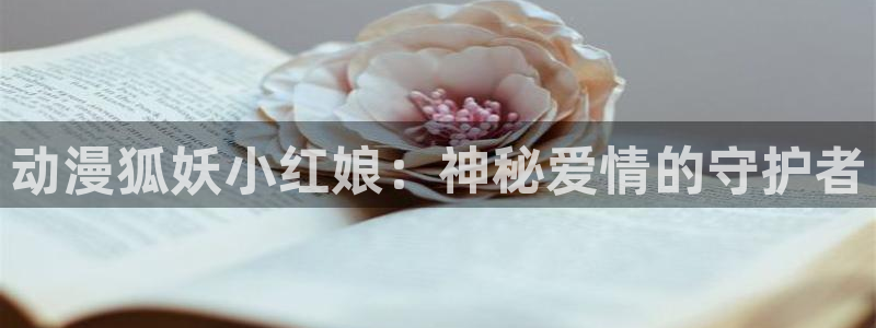 91动漫www