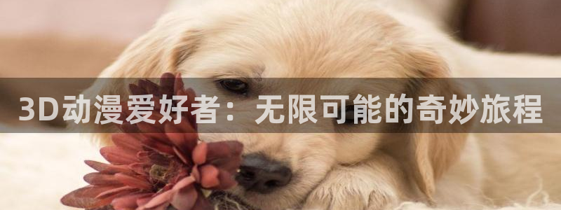 城市猎人91动漫