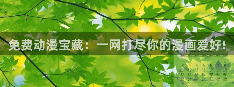 com.91动漫：免费动漫宝藏：一网打尽你的漫画爱好!